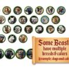 Beast tokens - multiple images for each animal